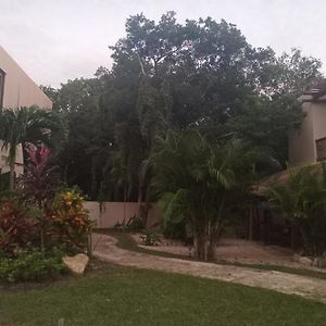 Delüks Bungalov